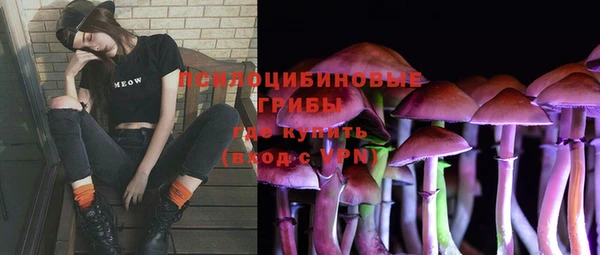 apvp Алексеевка