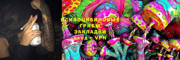 apvp Алексеевка