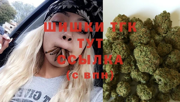 прущий лед Алексин